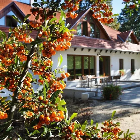Hodoseri Vadaszhaz