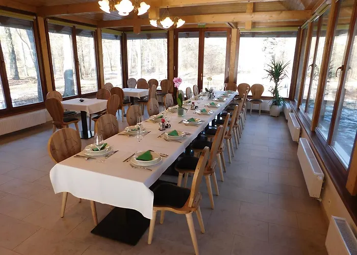 Hotel Hodoseri Vadaszhaz *