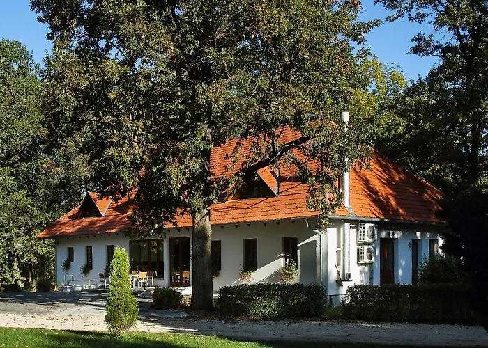 Hodoseri Vadaszhaz Hotel *