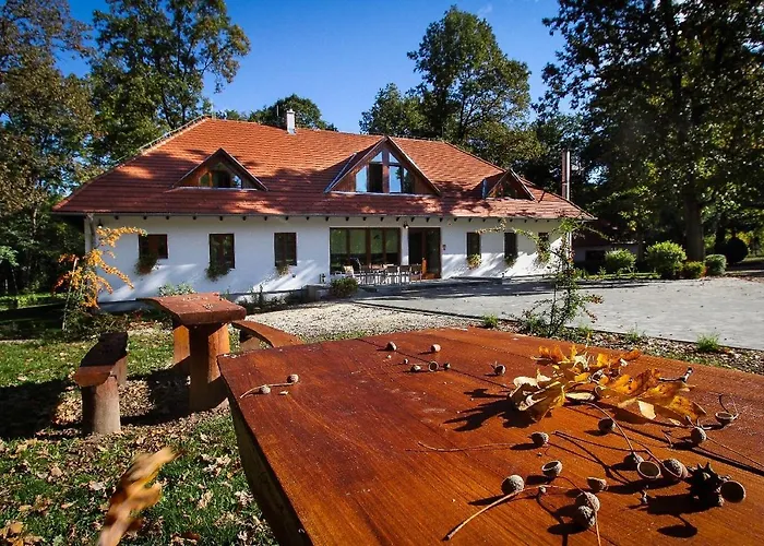 Hotel Hodoseri Vadaszhaz