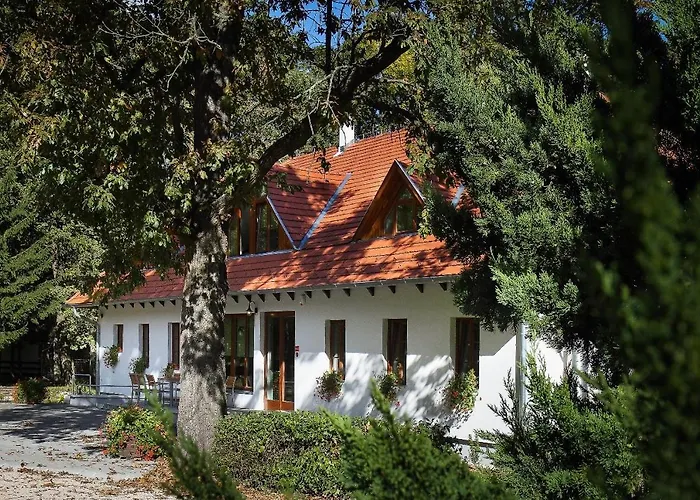 Hotel Hodoseri Vadaszhaz *