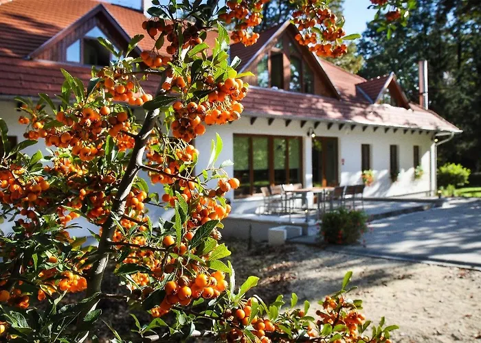 Hodoseri Vadaszhaz
